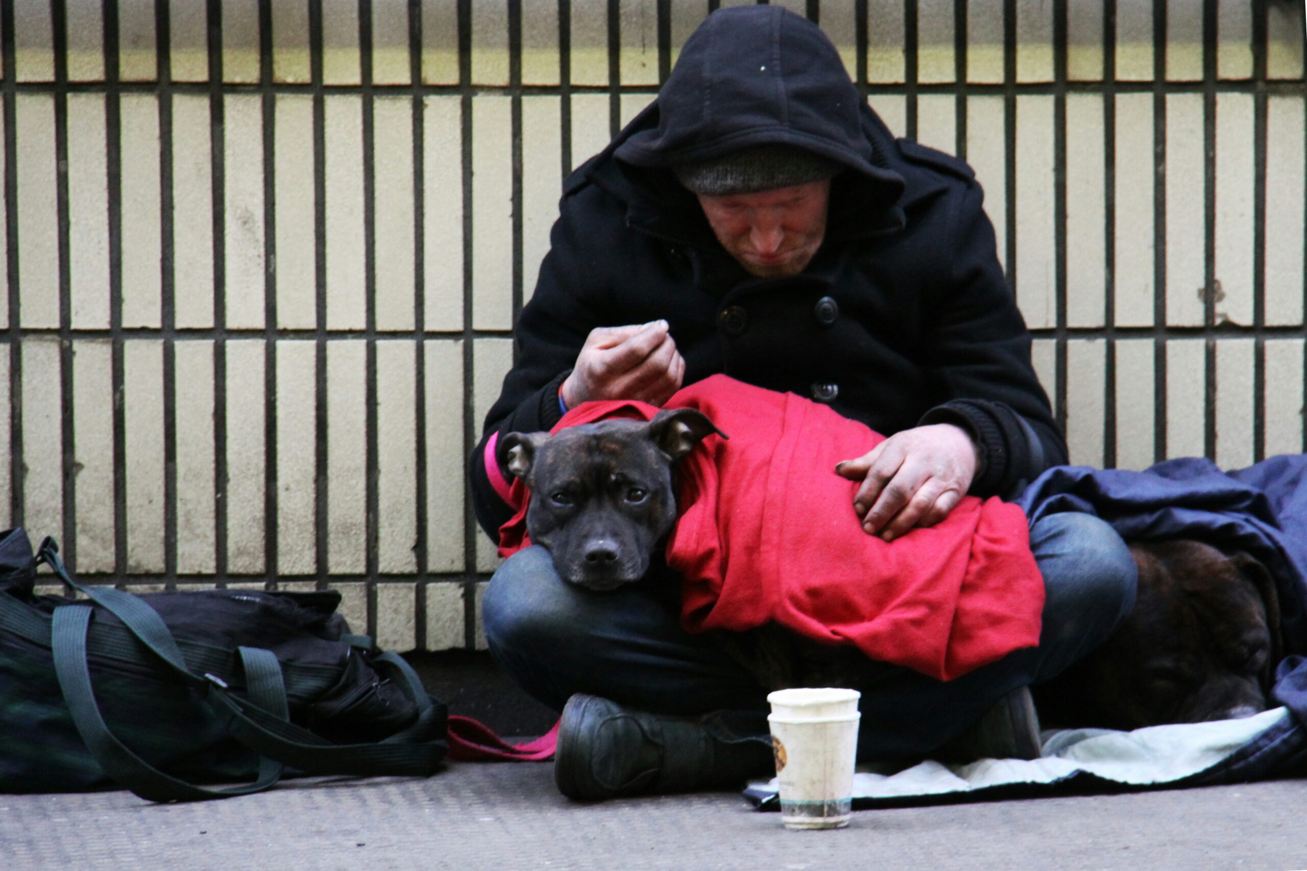 Obdachloser Mann mit Hund in den Straßen von Frankfurt Obdachloser Mann mit Hund in den Straßen von Frankfurt